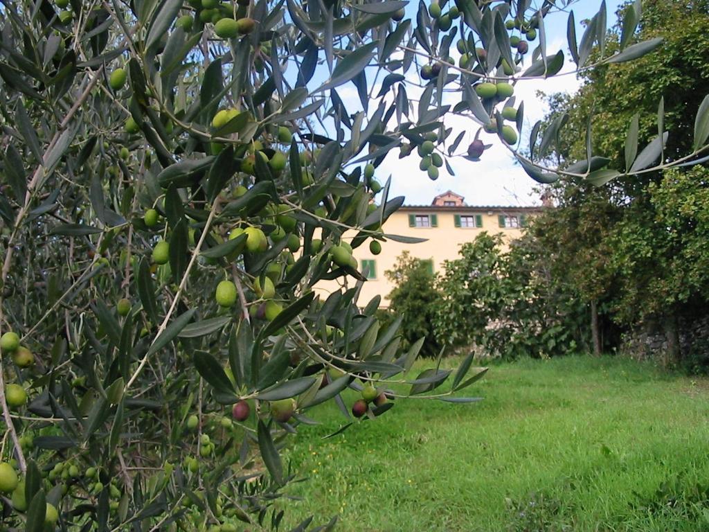 Hotel Relais Palazzo Di Luglio 산세폴크로 외부 사진
